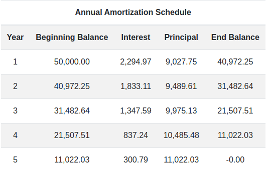 Annual Amortization Schedule